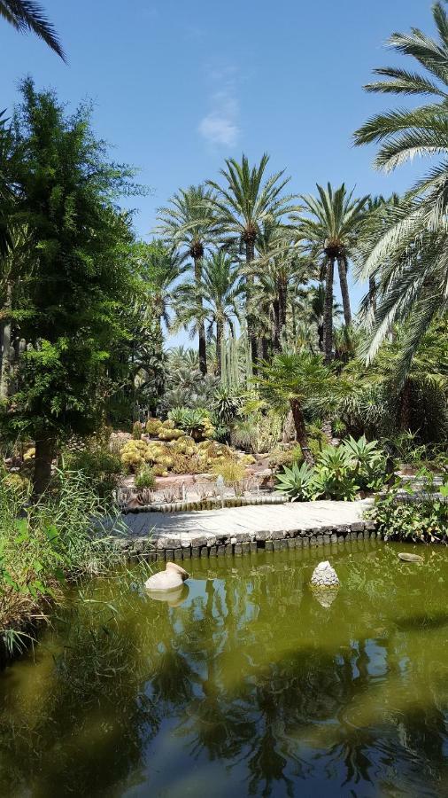 Villa Matheo ボルヌエーボ エクステリア 写真
